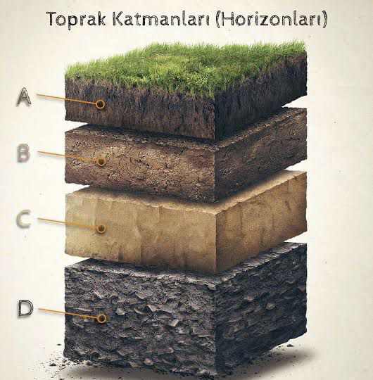 TOPRAK KATMANLARI ( HOR?ZONLARI )